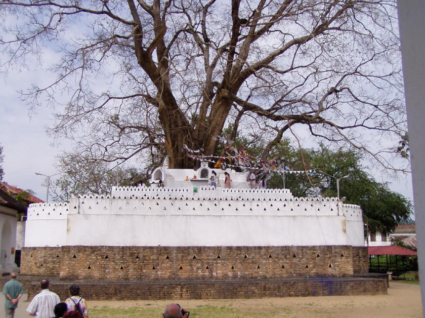 Sri Dalada Maligaw Tempel van de tand